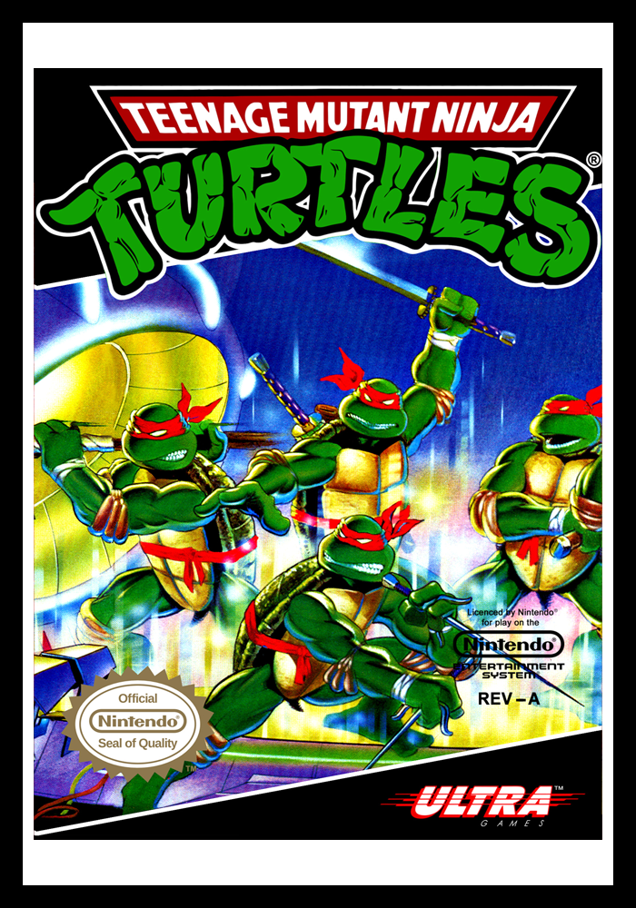 nes turtles